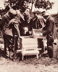 Bee-keeping instruction under Lord Eglinton